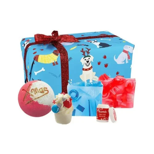 61jTqQqsRcL.-AC-SL1000-